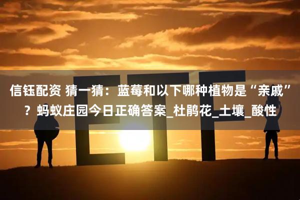 信钰配资 猜一猜：蓝莓和以下哪种植物是“亲戚”？蚂蚁庄园今日正确答案_杜鹃花_土壤_酸性