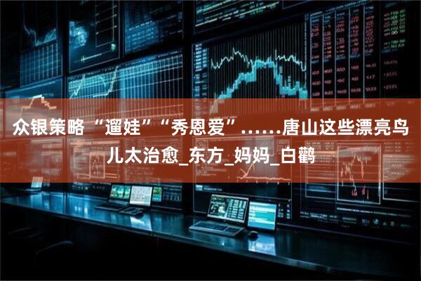 众银策略 “遛娃”“秀恩爱”……唐山这些漂亮鸟儿太治愈_东方_妈妈_白鹳