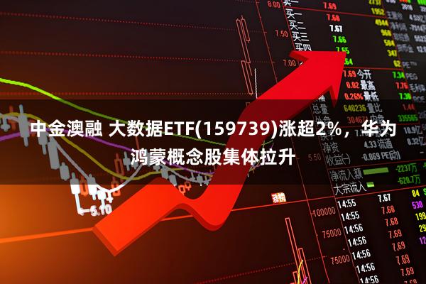 中金澳融 大数据ETF(159739)涨超2%，华为鸿蒙概念股集体拉升