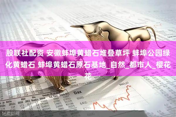 股联社配资 安徽蚌埠黄蜡石堆叠草坪 蚌埠公园绿化黄蜡石 蚌埠黄蜡石原石基地_自然_都市人_樱花